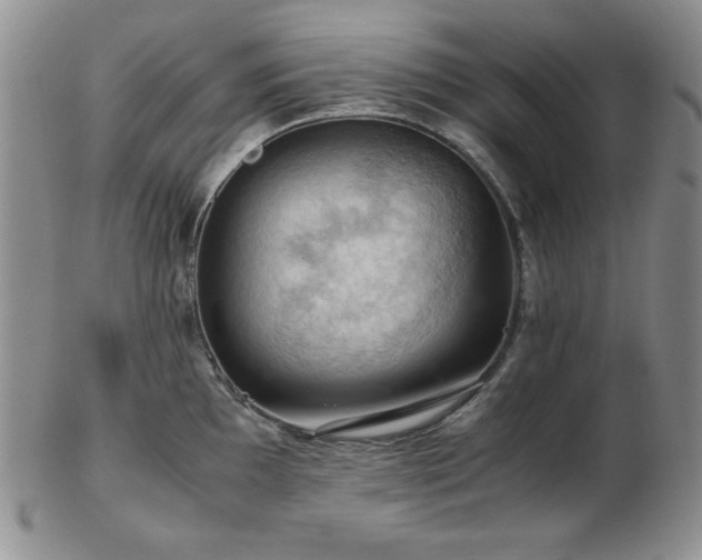 X0000103141097200808221210