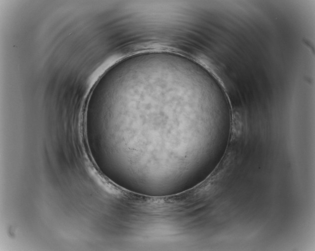 X0000103141098200808221210