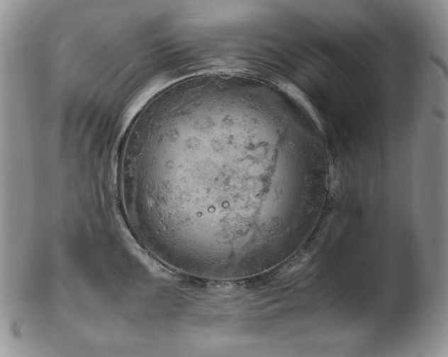 X0000103141099200808221210