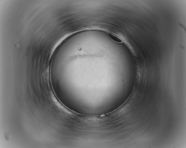 X0000103141100200808221210