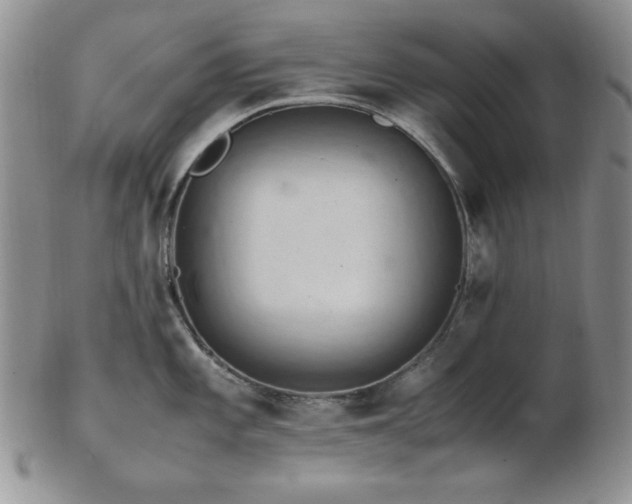 X0000103141101200808221210