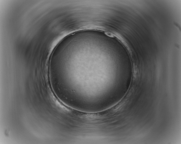 X0000103141102200808221210