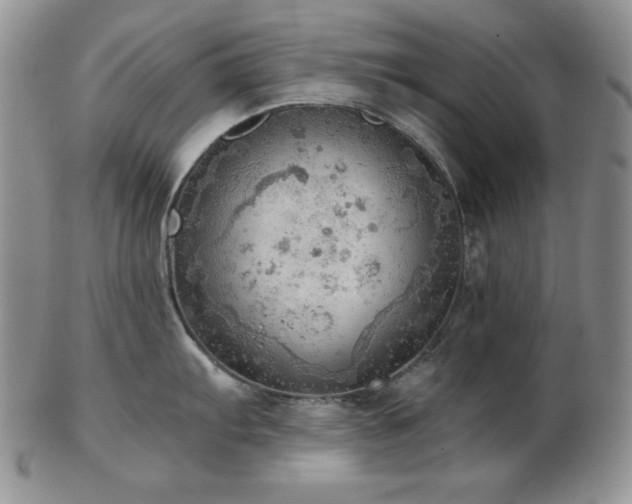 X0000103141103200808221210