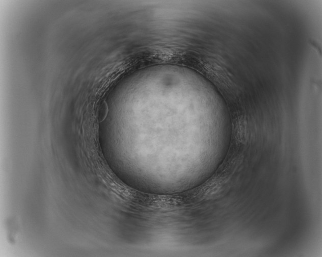 X0000103141105200808221210