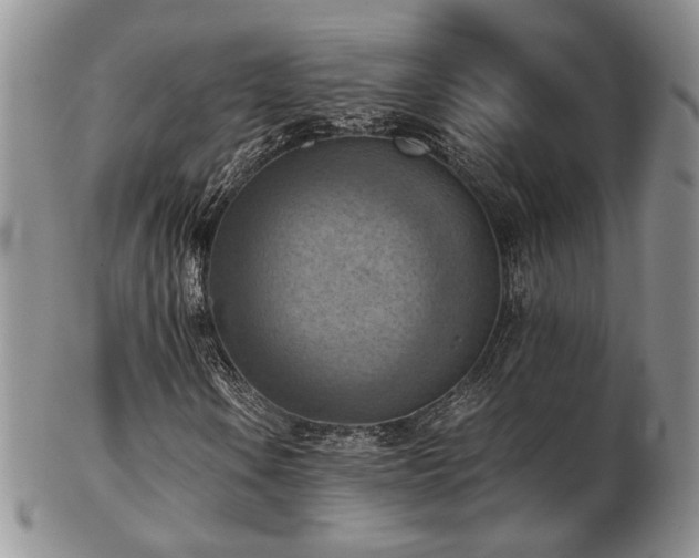 X0000103141106200808221210