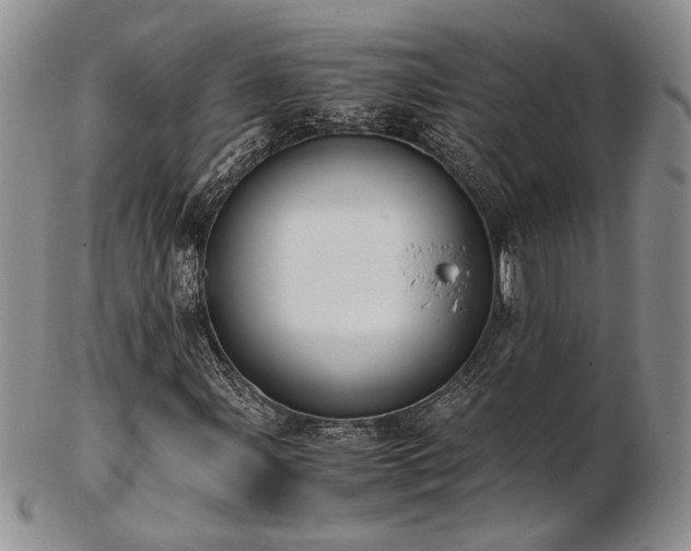 X0000103141107200808221210