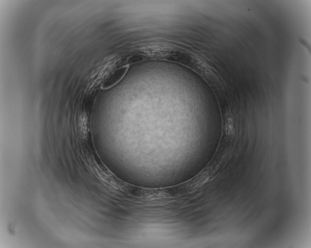 X0000103141108200808221210