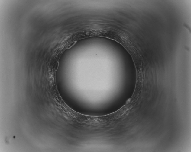 X0000103141109200808221210