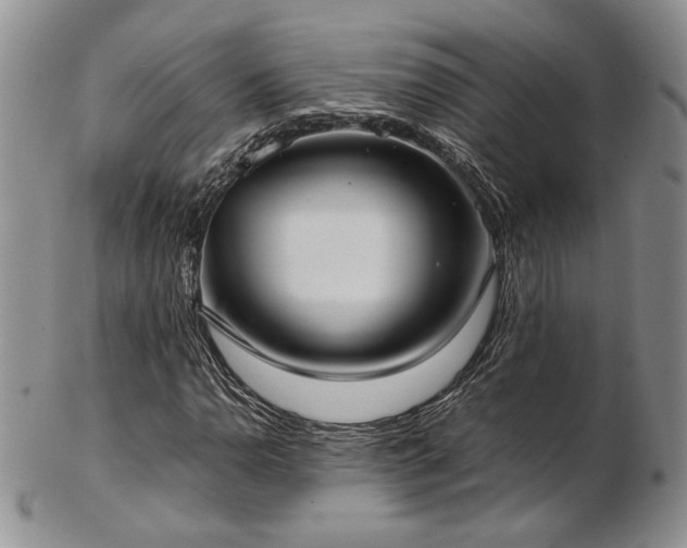 X0000103141110200808221210