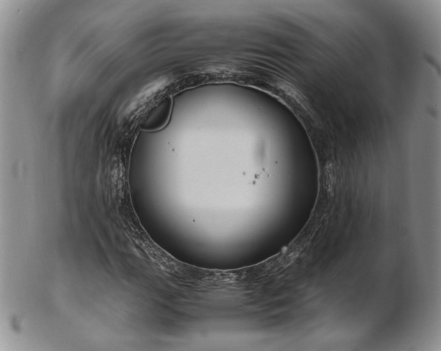 X0000103141111200808221210