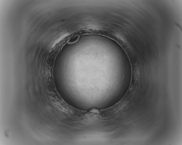 X0000103141112200808221210