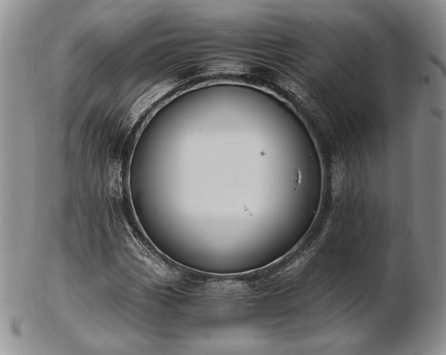 X0000103141113200808221210