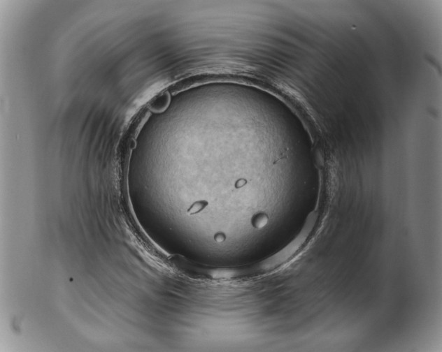 X0000103141114200808221210