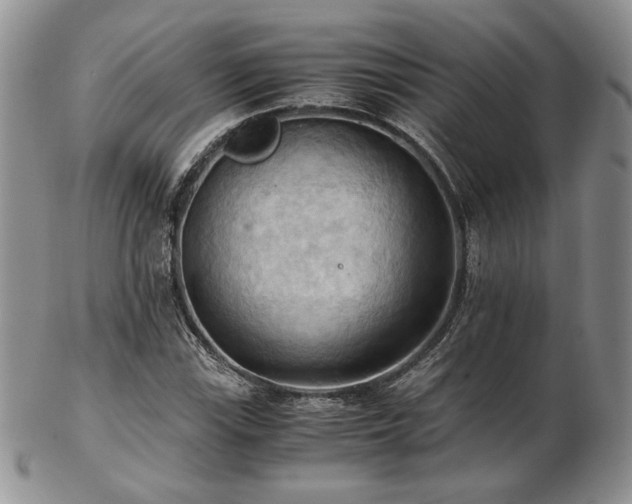 X0000103141115200808221210