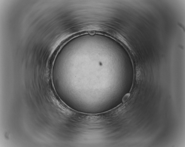 X0000103141116200808221210