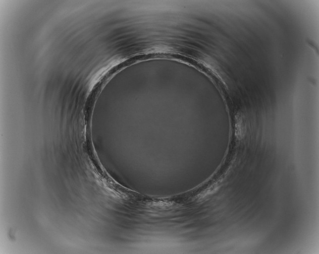 X0000103141117200808221210