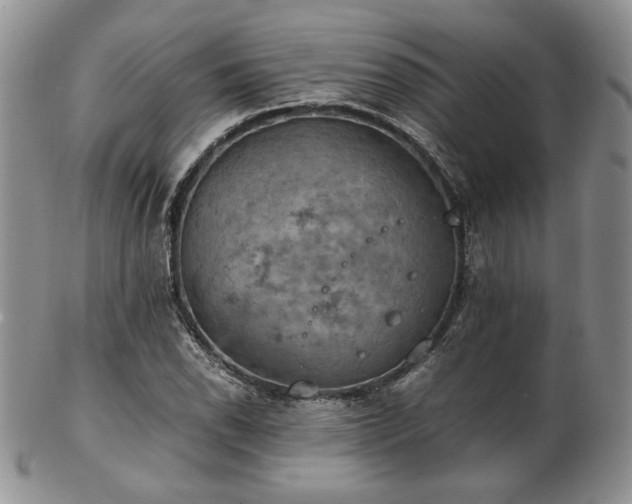 X0000103141118200808221210