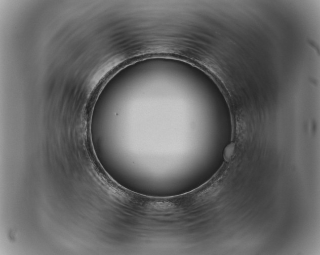 X0000103141119200808221210