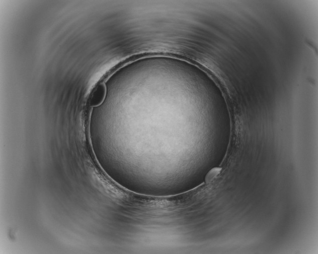 X0000103141120200808221210