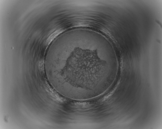 X0000103141121200808221210