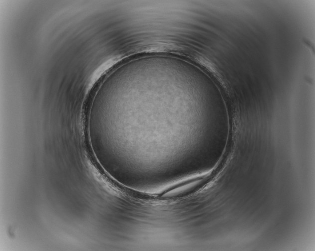 X0000103141122200808221210