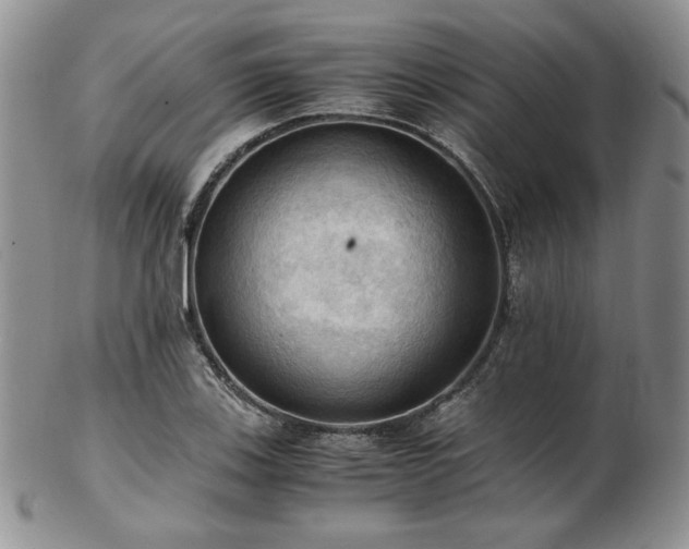 X0000103141123200808221210