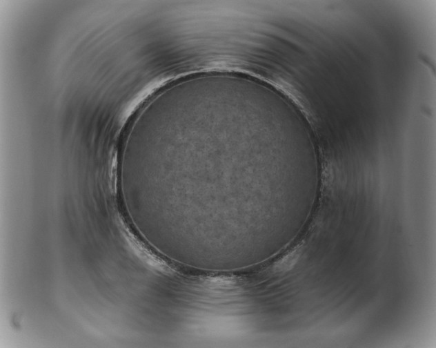 X0000103141126200808221210