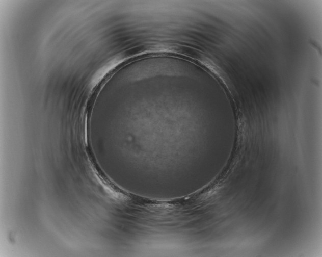 X0000103141127200808221210