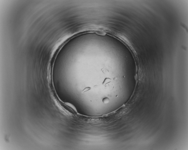 X0000103141128200808221210