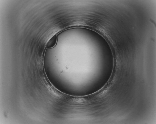 X0000103141129200808221210