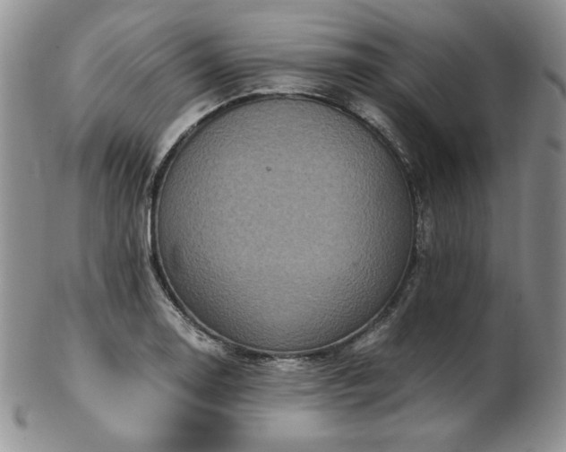 X0000103141130200808221210