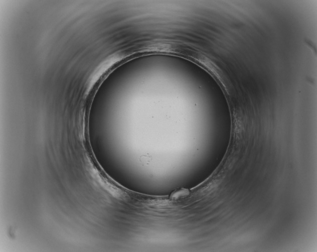 X0000103141131200808221210