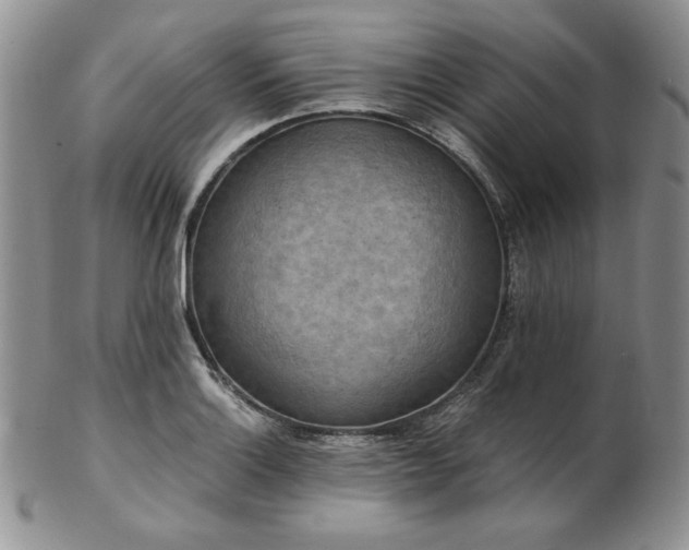 X0000103141132200808221210