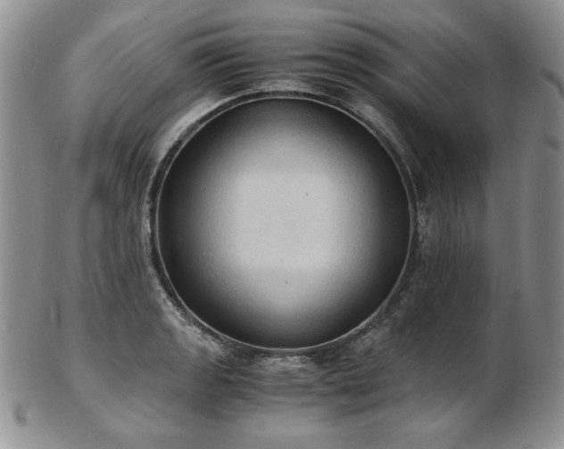 X0000103141133200808221210