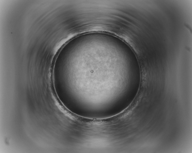 X0000103141134200808221210