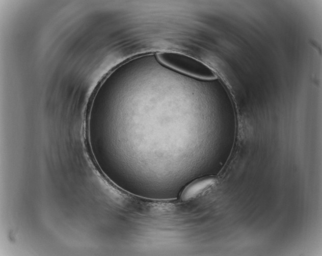 X0000103141136200808221210