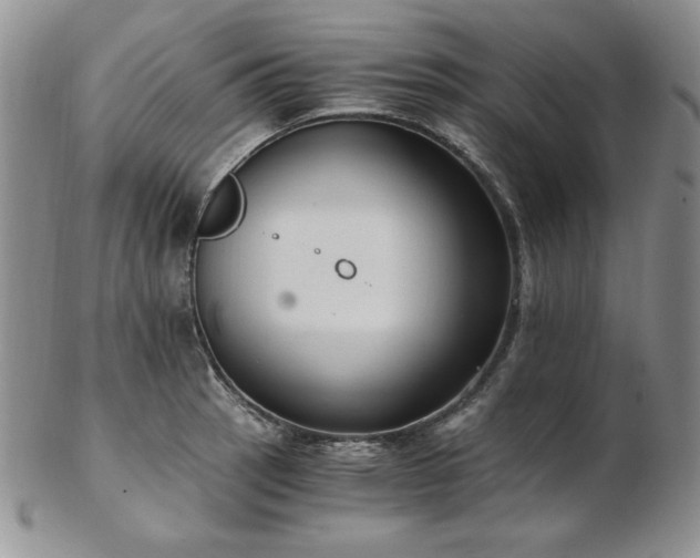 X0000103141137200808221210