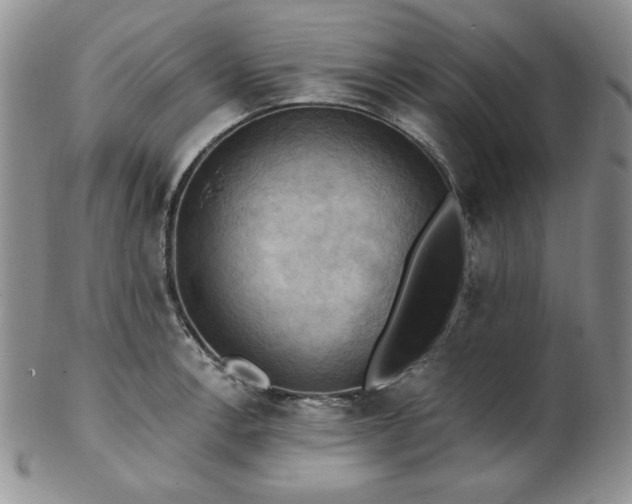 X0000103141138200808221210