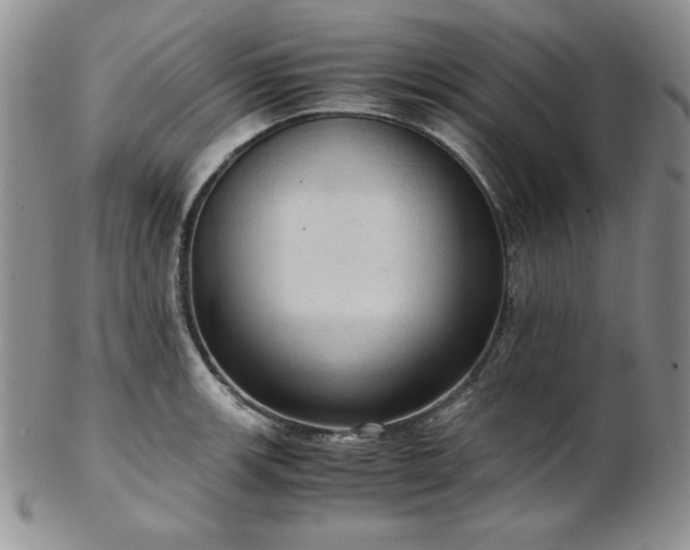 X0000103141139200808221210