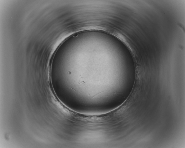 X0000103141140200808221210