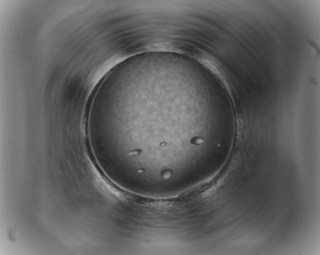 X0000103141141200808221210