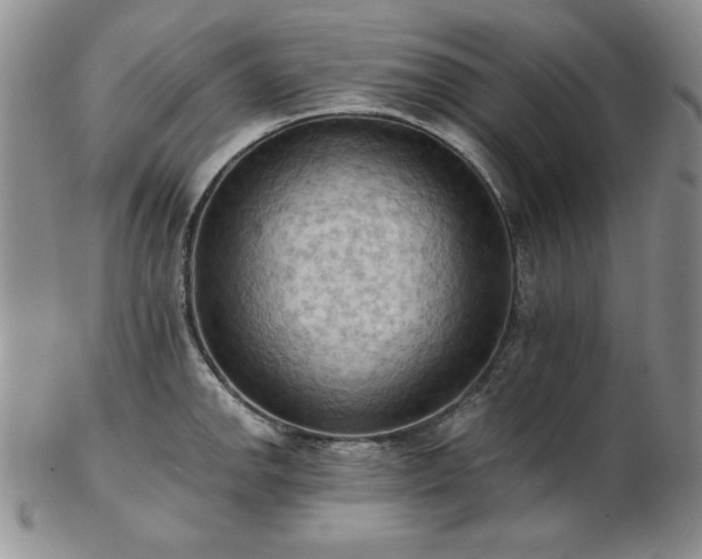 X0000103141142200808221210