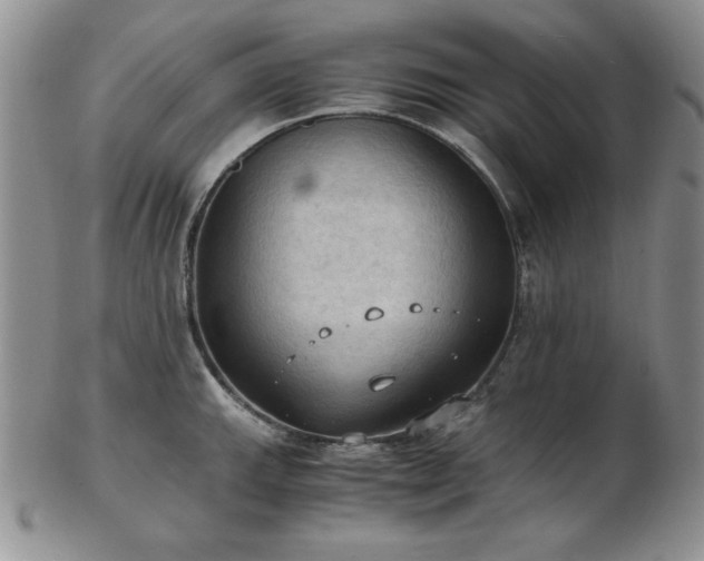 X0000103141143200808221210