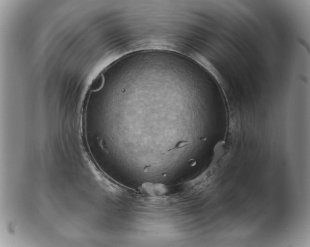 X0000103141144200808221210