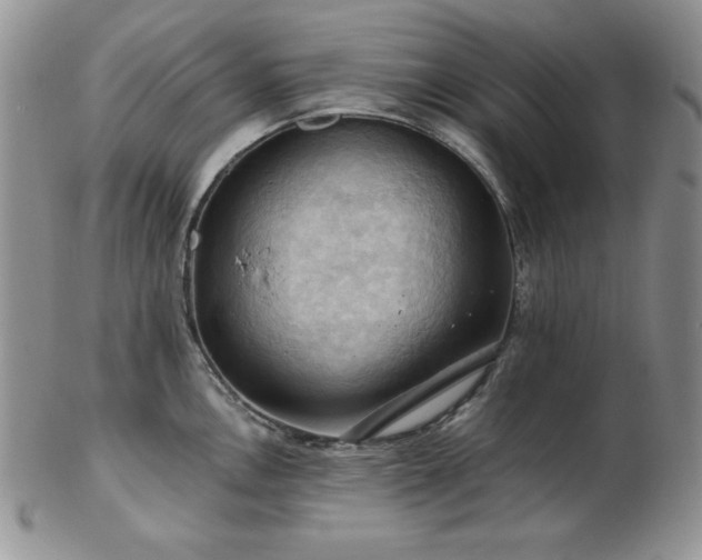 X0000103141146200808221210