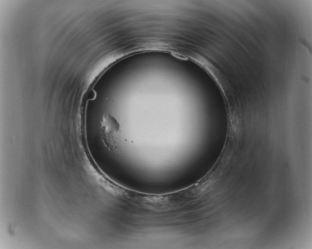 X0000103141147200808221210