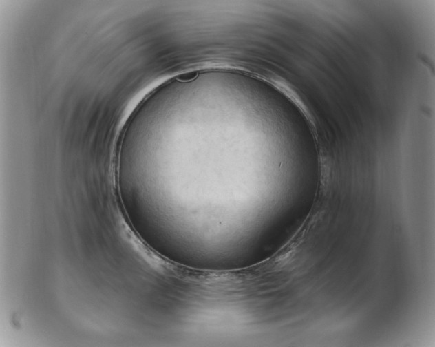 X0000103141148200808221210