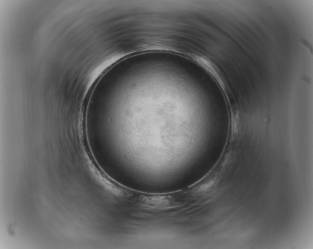 X0000103141149200808221210