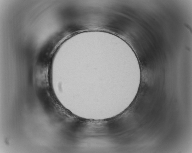 X0000103141150200808221210