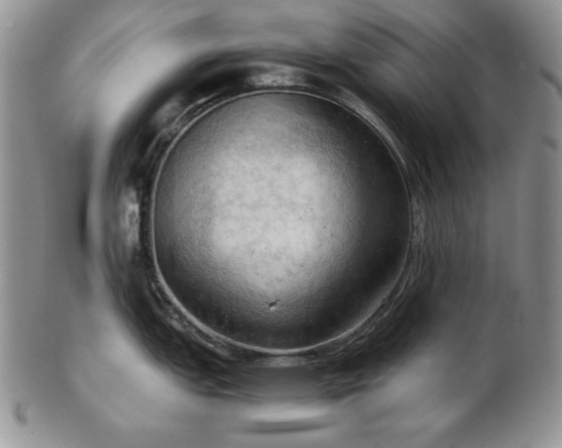 X0000103141151200808221210